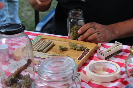 Leafwell Unveils Groundbreaking Cannabis Care Program