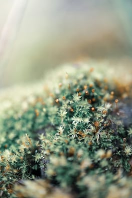 Cannabis & ECG: HIV Study Findings Revealed