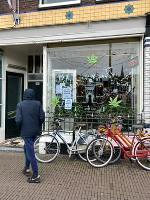 Mankato Goes Green with 4 New Cannabis Shops!