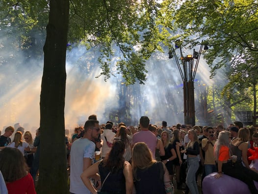 Don't Miss D.C. Stars at 2025 Cannabis Festival!