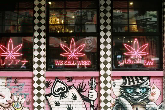 Easthampton's Newest Gem: Oz Club Dispensary