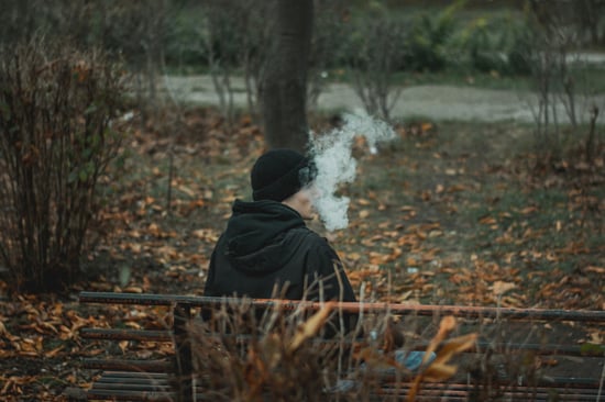 California Sober Trend: Cannabis Cuts Alcohol Use Now