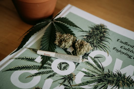 D.C. Psychedelic Shop Raided – Weed Bill Advances