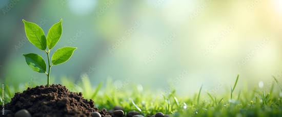 Tenax Strategies Launches Fractional Chief Compliance Officer Subscription Model for Cannabis Operators Nationwide