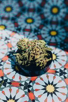 Historic Win: Cannabis Eases Opioid Use in Cancer