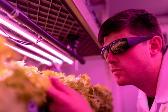Technology Meets Cannabis: Innovation & Compliance