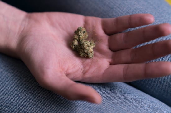 Marshawn Lynch: Beast Mode Buds with 'Dodi'!