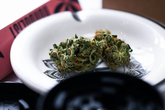 Minnesota Cannabis Licenses Issued, No Stock