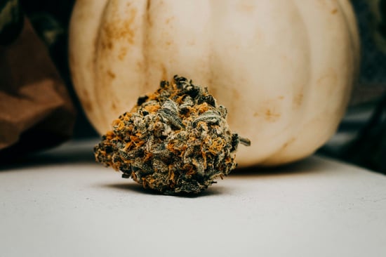 Cannabis Measure Cut from Veterans' Bill