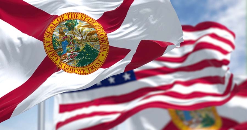 Trump, Harris, Vance And Walz Agree On This: End Cannabis Criminalization In Florida