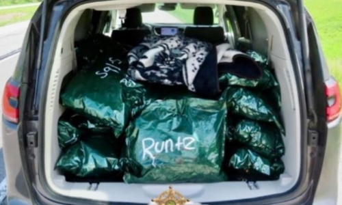 Man arrested with nearly 300 pounds of Marijuana in rental car driving cross-country
