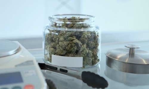 Maryland’s first week of adult-use Cannabis Sales tops $20M