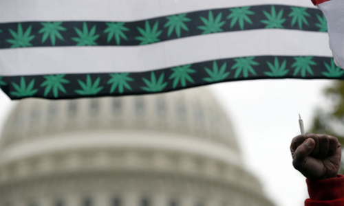 Weed wins galvanize Capitol Hill’s anti-cannabis club