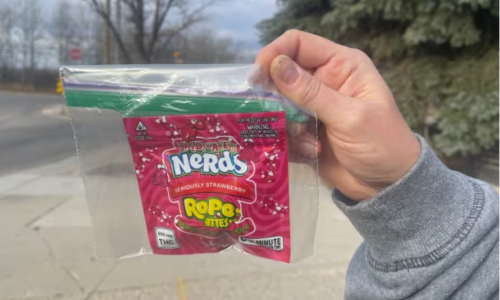 Woman who accidentally gave out cannabis edibles to trick-or-treaters sentenced to $5K in fines